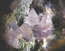 Zepter-Amethyst-Kristalle